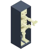Skeleton in closet